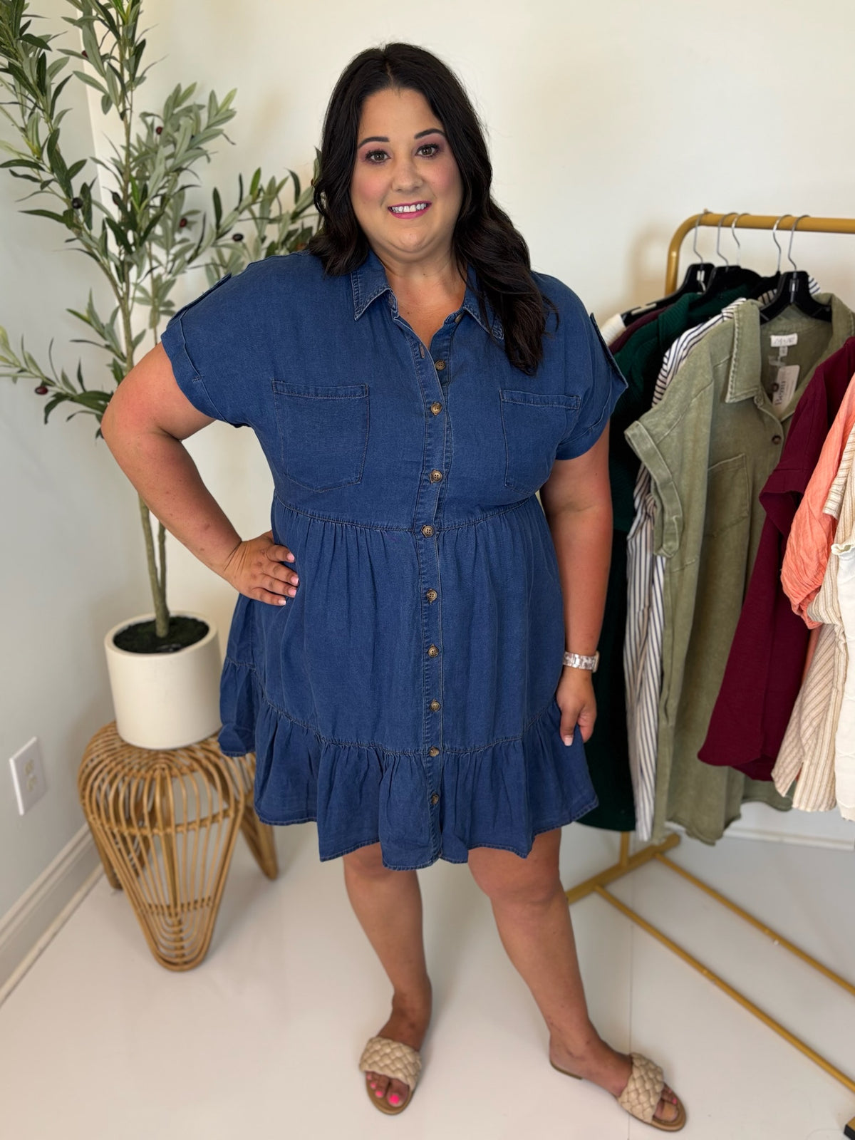 Chambray Scene Dress - Plus