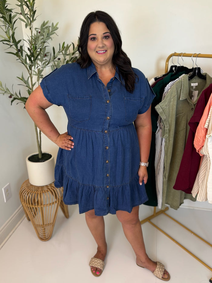 Chambray Scene Dress - Plus