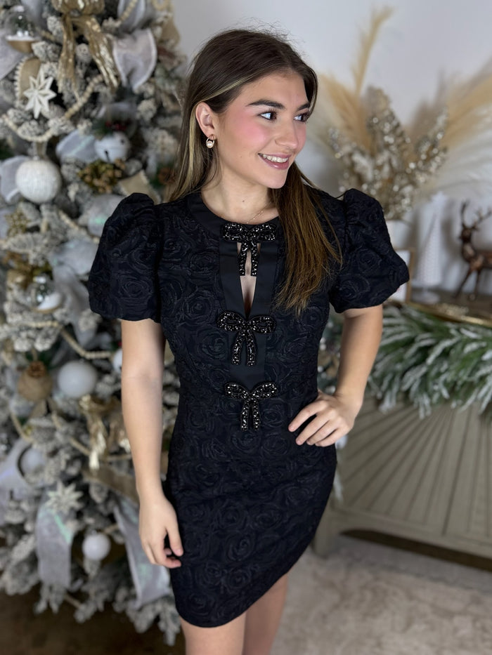 Embellished Elegance Dress