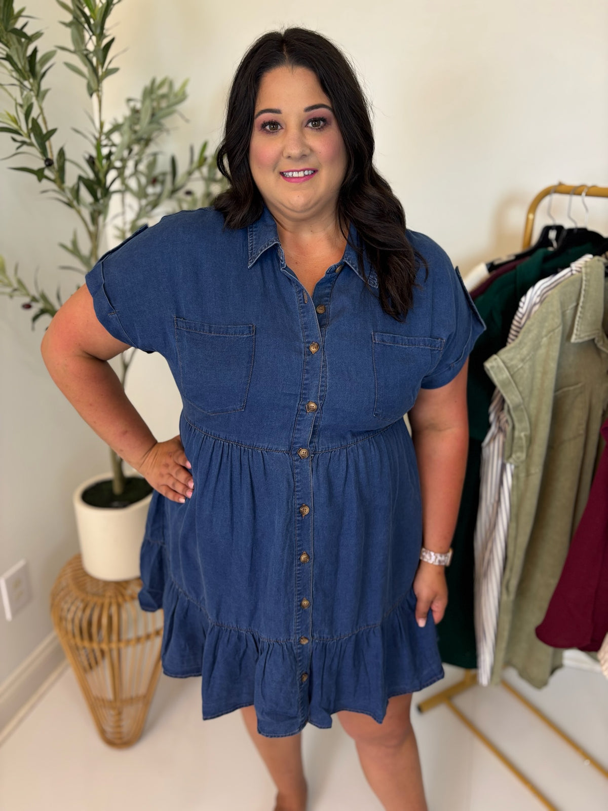 Chambray Scene Dress - Plus