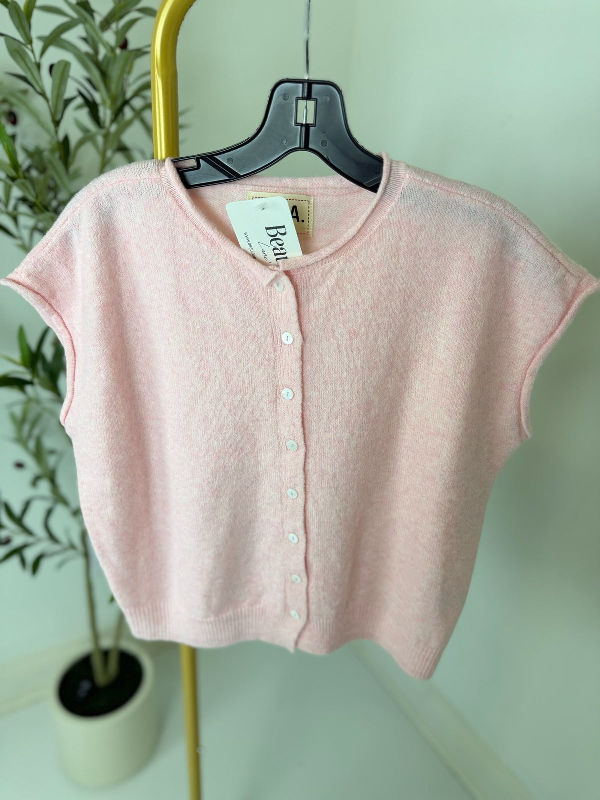 Pink cardigan on a hanger against a light green wall with a plant in the background.