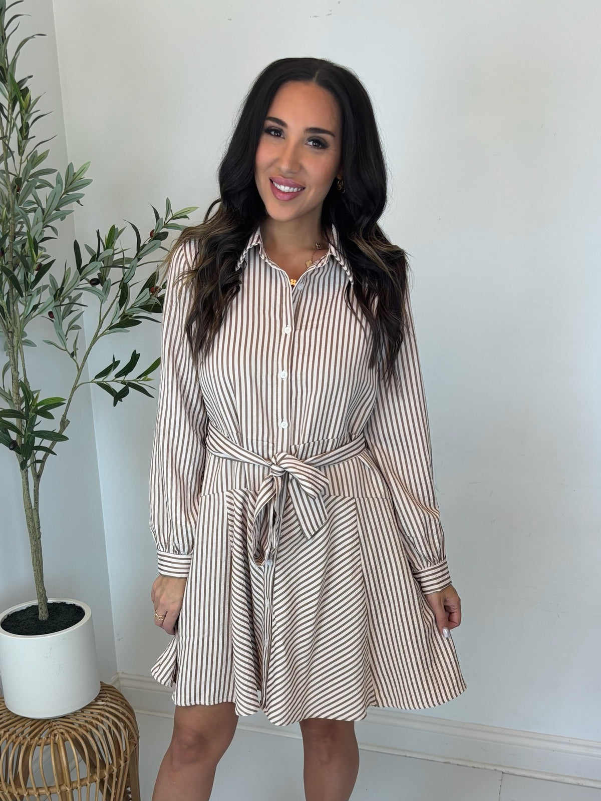 Cinnamon Stripe Button Front Dress
