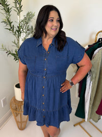 Chambray Scene Dress - Plus