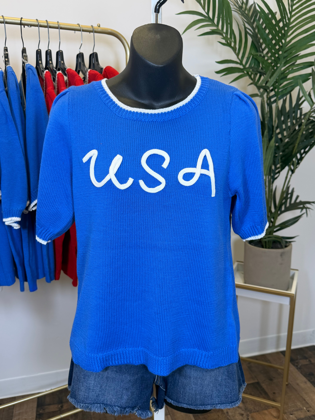 Blue sweater with 'USA' text on a mannequin in a store setting.