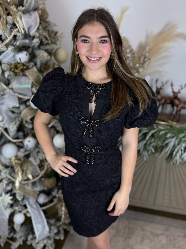 Embellished Elegance Dress