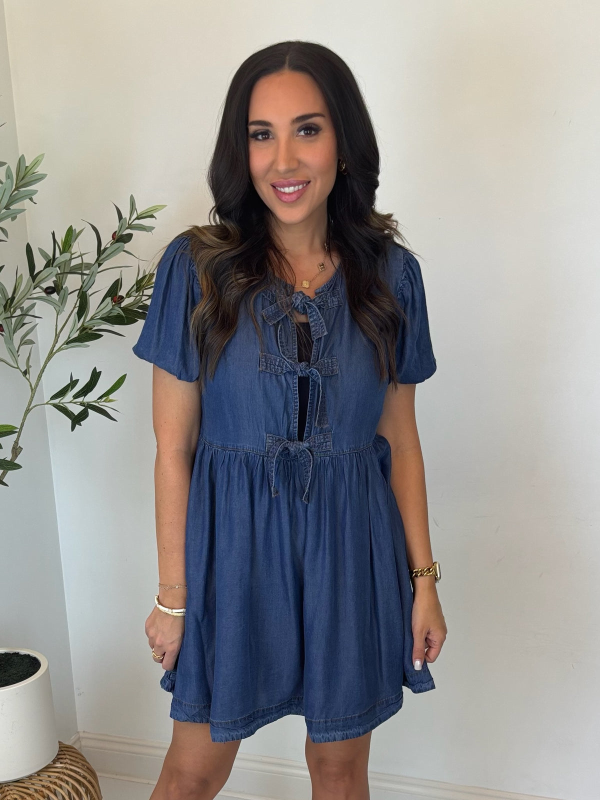 Sweet Magnolia Chambray Dress