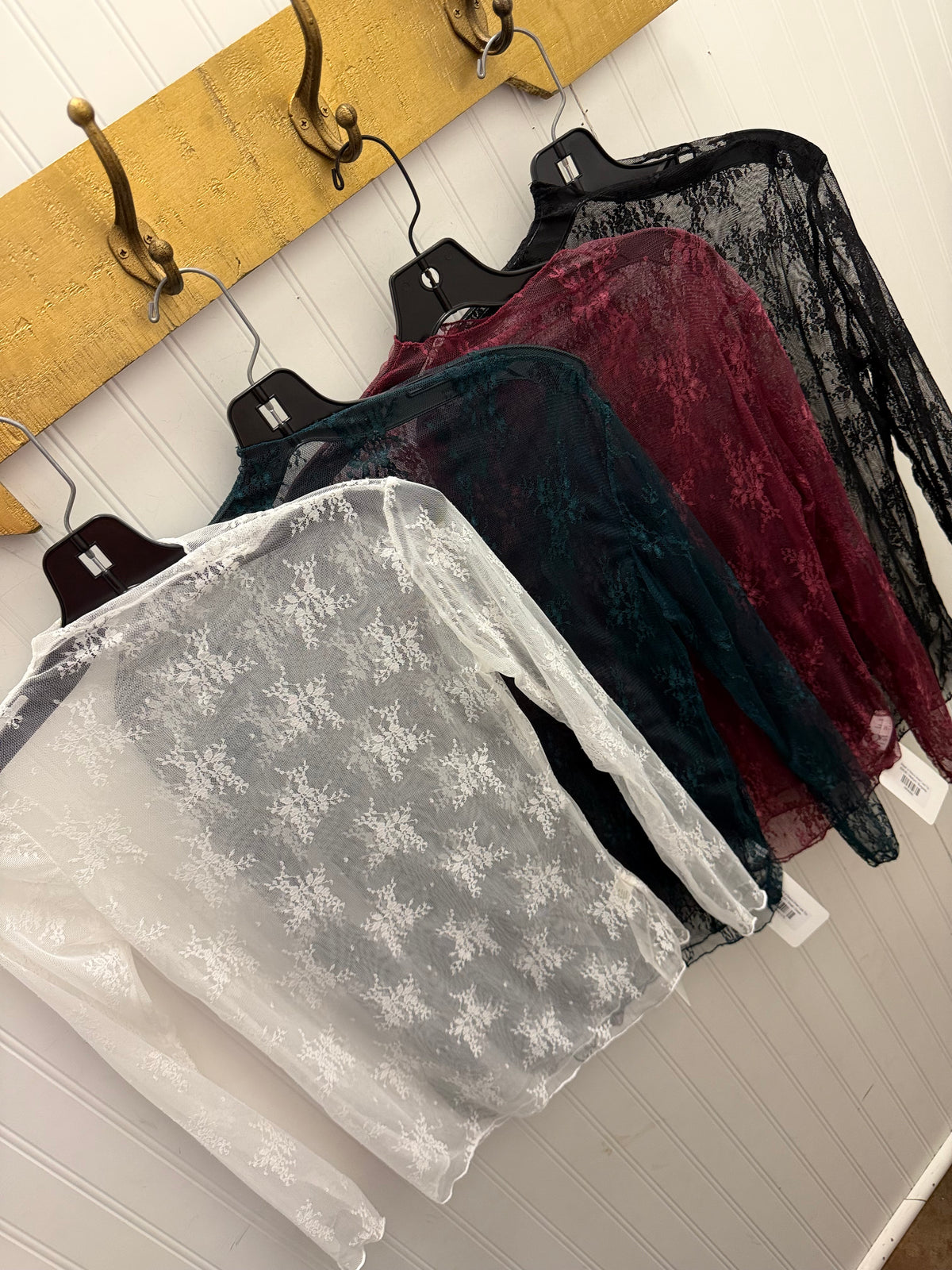 Breath of Beauty Sheer Lace Top