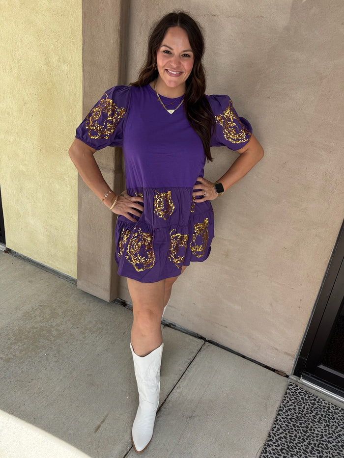 Wild Streak Sequins Dress