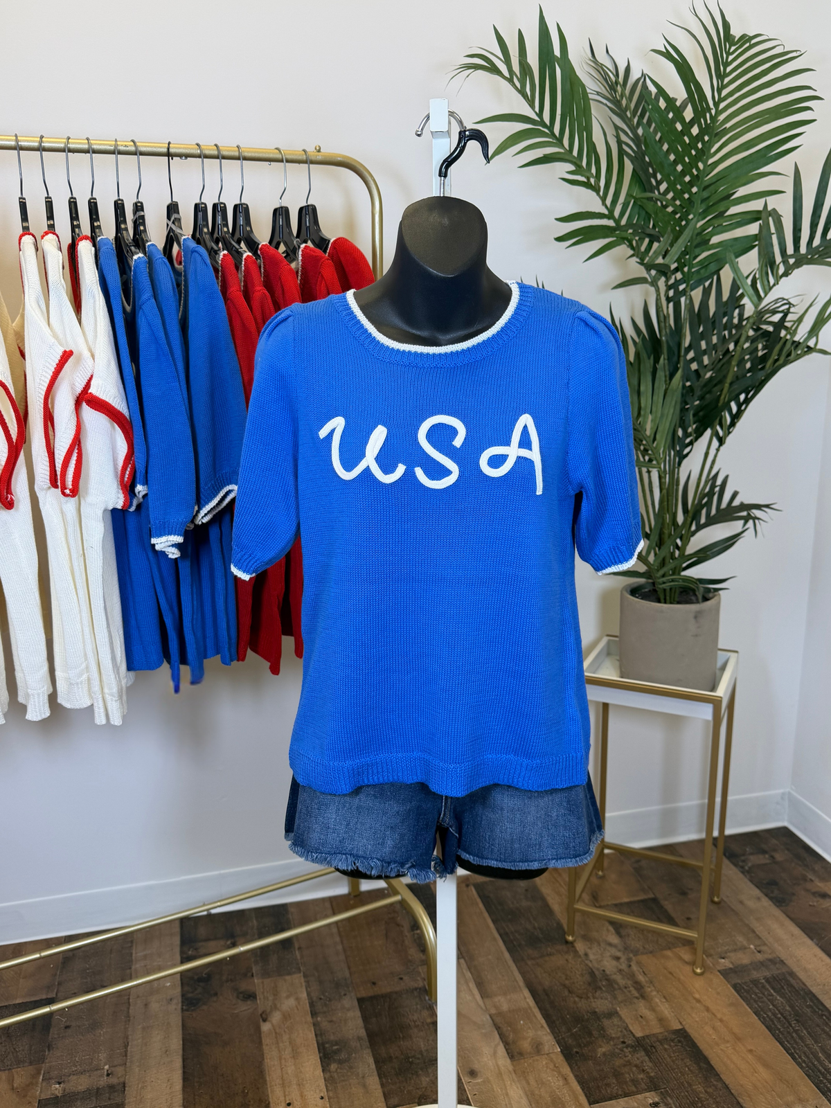 Mannequin wearing a blue 'USA' t-shirt with a plant and clothing rack in the background.